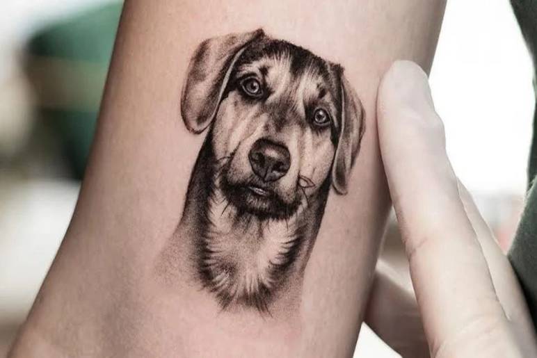 Why Do People Get Dog Tattoos?