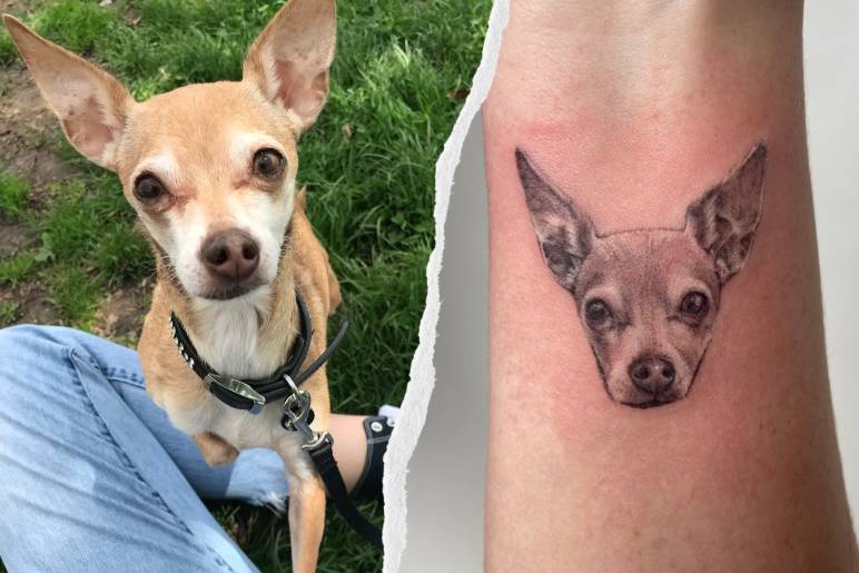 Popular Dog Tattoo Designs