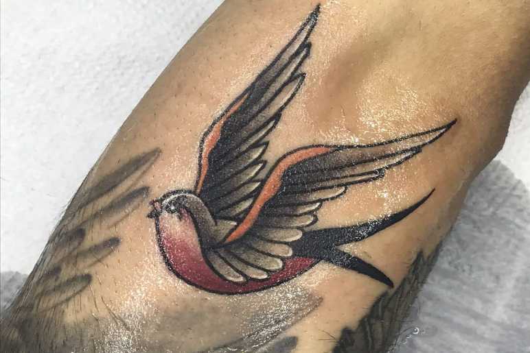 What Does a Swallow Tattoo Mean?