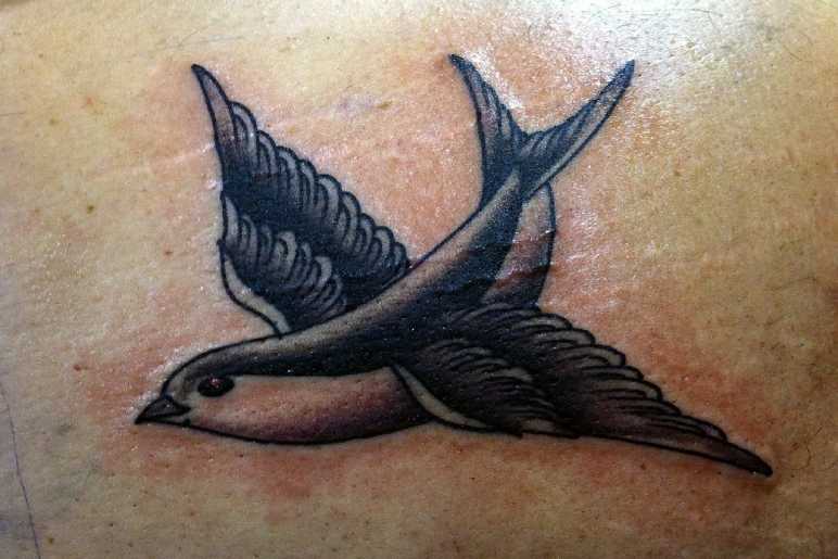 Popular Swallow Tattoo Design Ideas